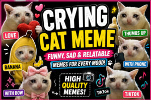 Crying Cat Meme